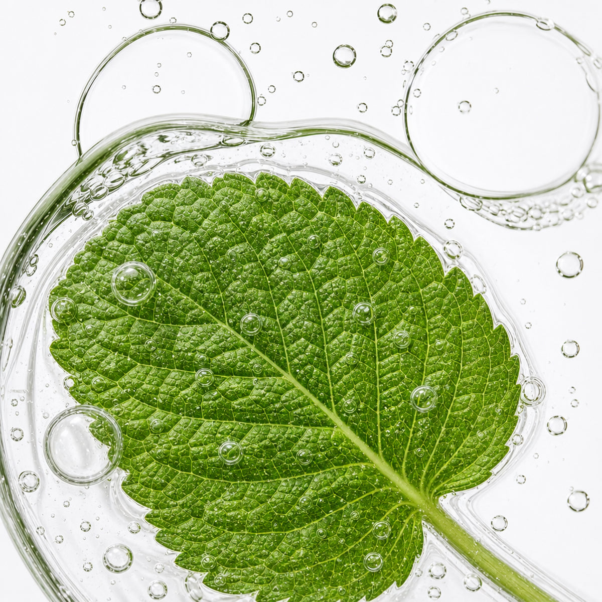 Inahsi Naturals Verzachtende Munt Hydraterende Conditioner