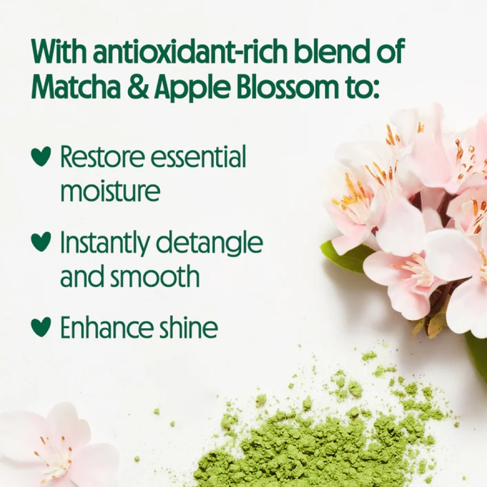 Not Your Mother's Matcha Green Conditioner 15.2oz-All-Aladin Beauty