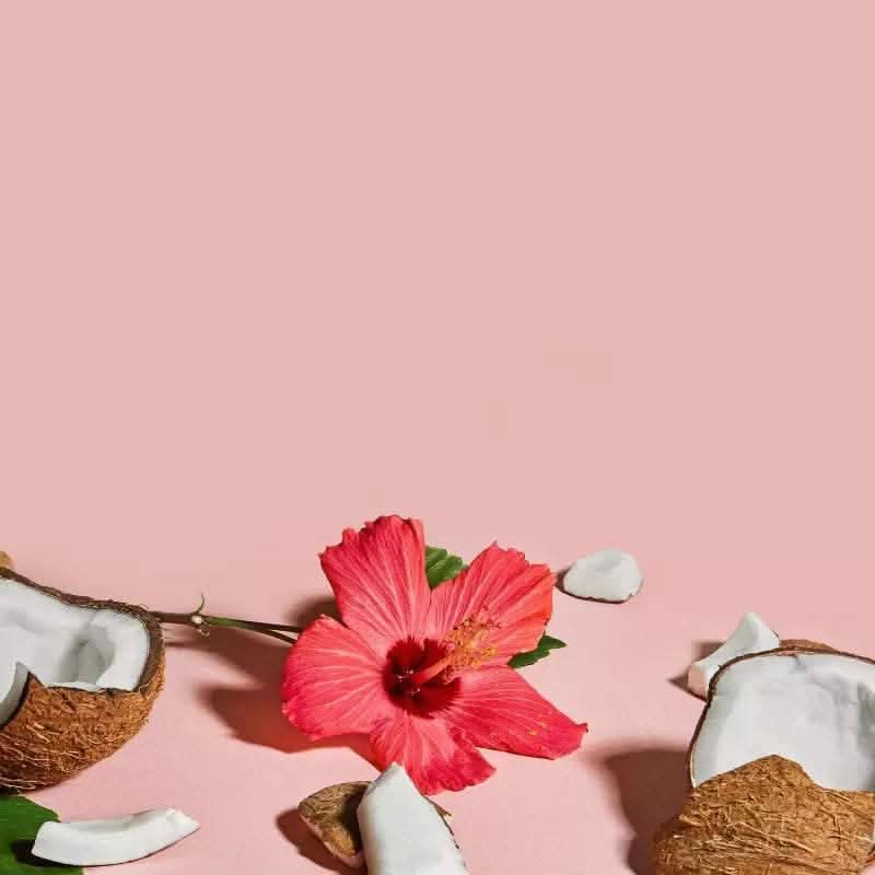 Shea Moisture Coconut & Hibiscus Curl Defining Gel 431ml