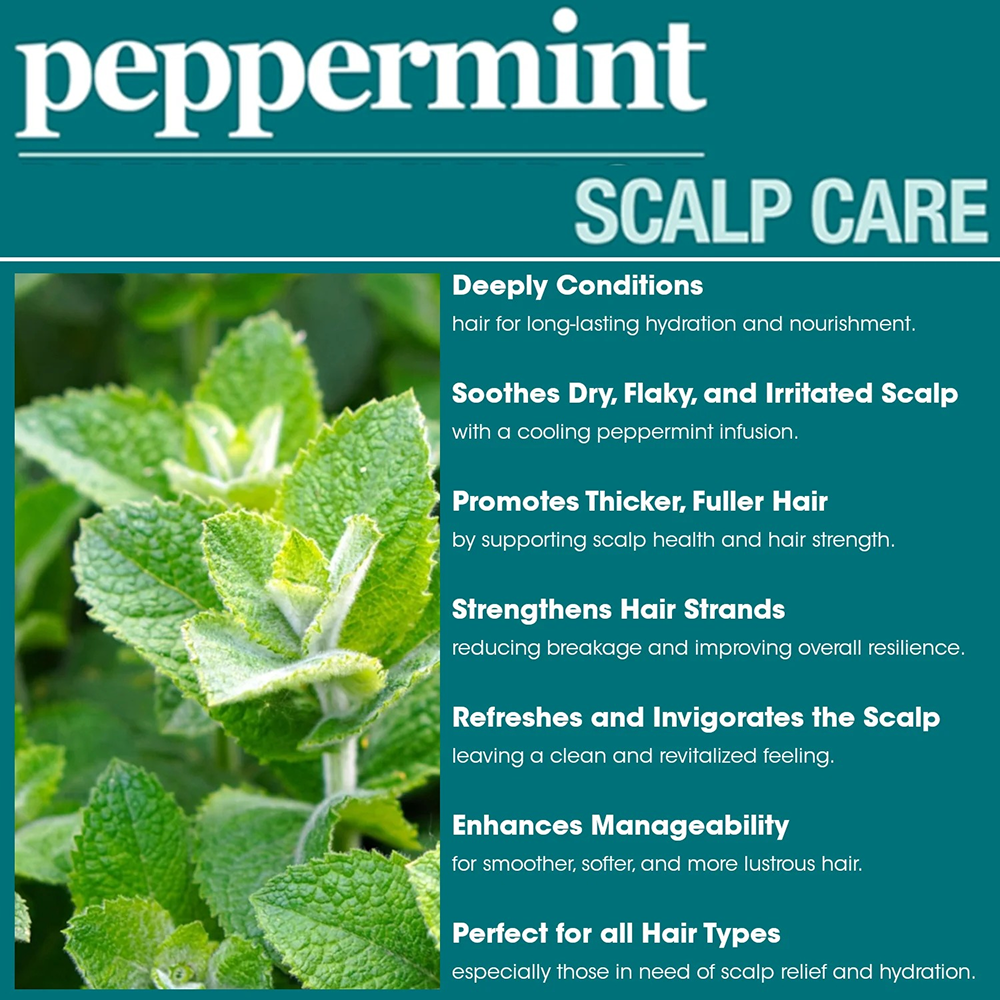 Difeel Peppermint Scalp Care Mask 12oz-All-Aladin Beauty